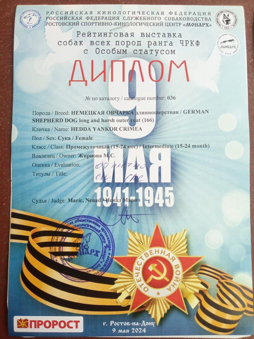 9 мая ос статус_диплом.jpg